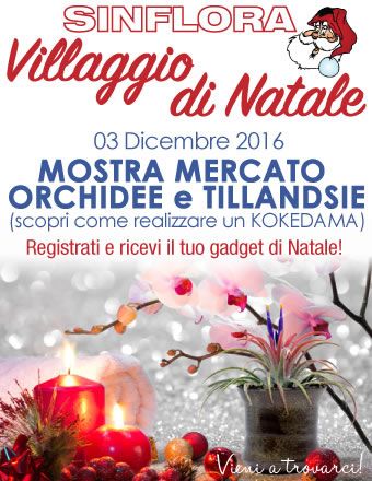 MOSTRA MERCATO ORCHIDEE E TILLANDSIE Villaggio di Natale Sinflora 2016