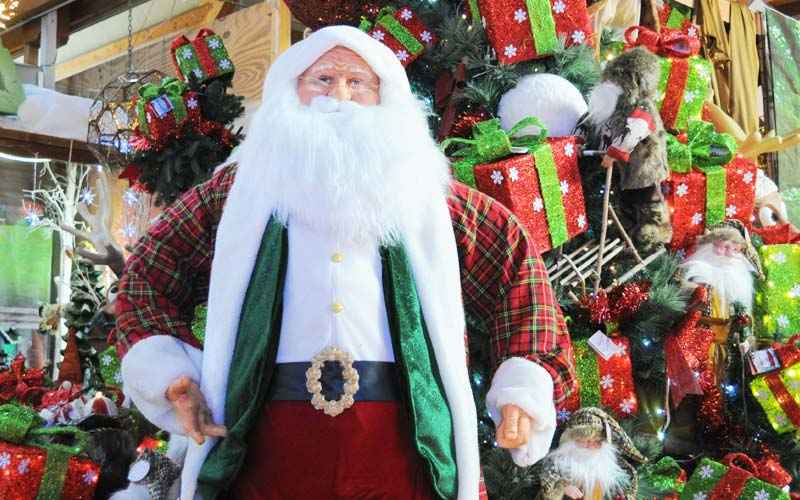 Babbo Natale X Esterno.Babbo Natale Sinflora Babbo Natale Bologna