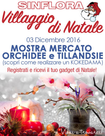 03 dicembre VILLAGGIO NATALE 2016 SINFLORA