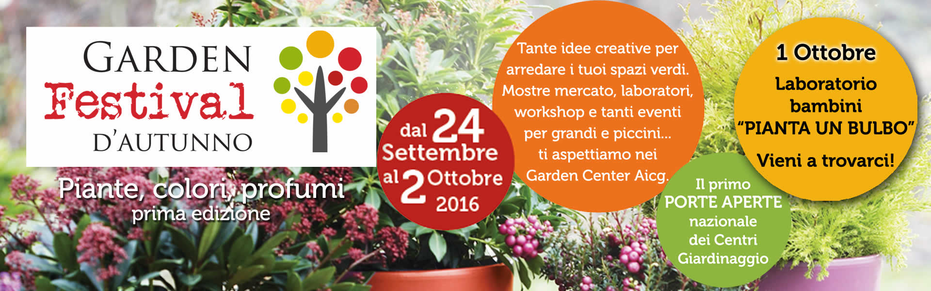 slide evento 01102016