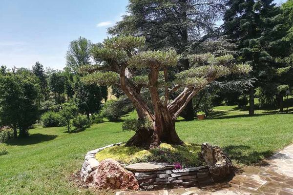 Giardini progetti realizzati da Sinflora garden center