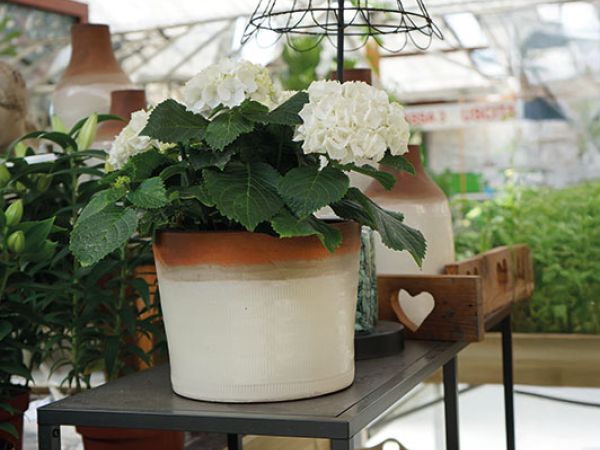 Installazione pergola a Bologna