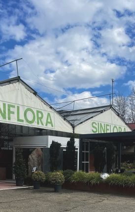Benvenuti da Sinflora