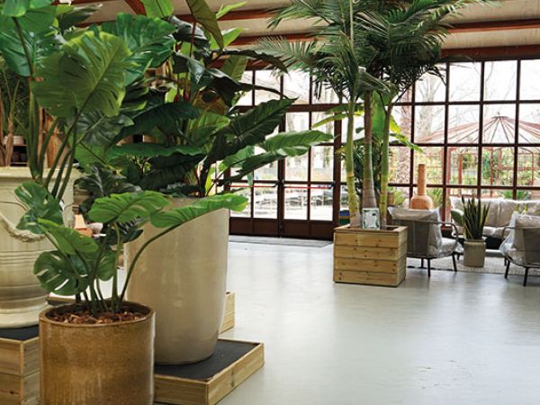 Installazione pergola a Bologna