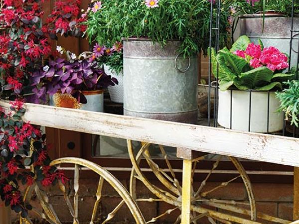 Installazione pergola a Bologna