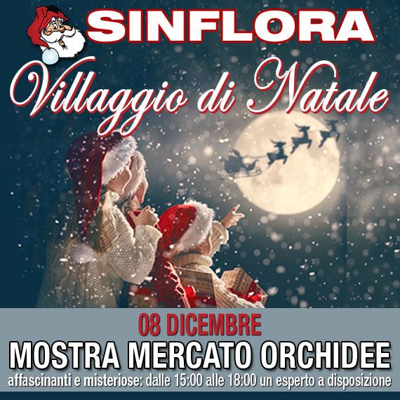 08/12/18 MOSTRA MERCATO DELLE ORCHIDEE VILLAGGIO DI NATALE 2018 SINFLORA