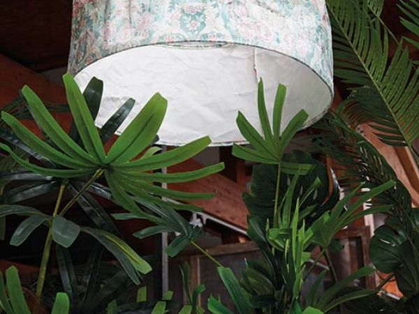 Installazione pergola a Bologna