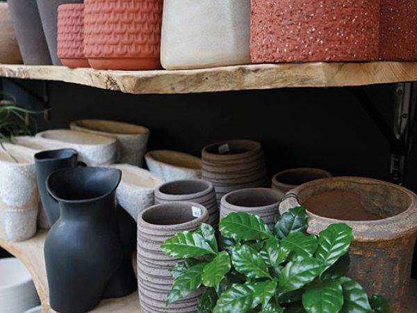 Installazione pergola a Bologna