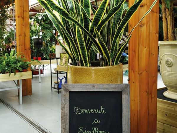 Installazione pergola a Bologna