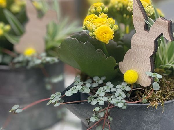 Installazione pergola a Bologna