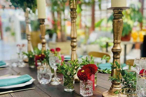 Wedding christmas cheere Bologna