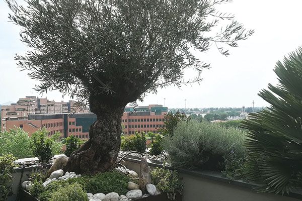 Progettazione e realizzazione terrazzi Sinflora garden center