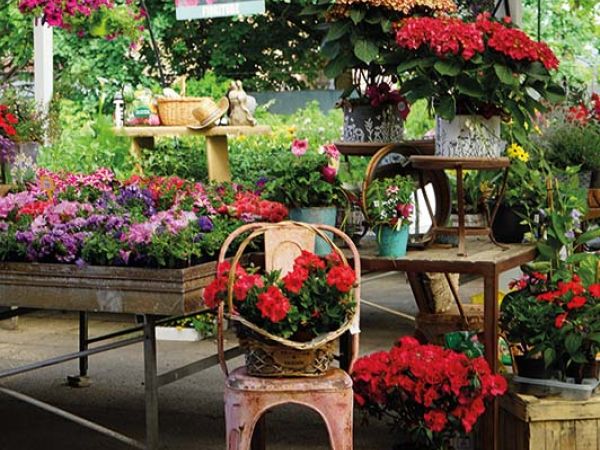 Installazione pergola a Bologna