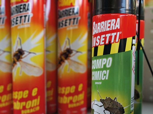 Installazione pergola a Bologna