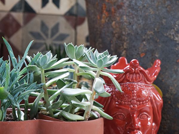 Installazione pergola a Bologna