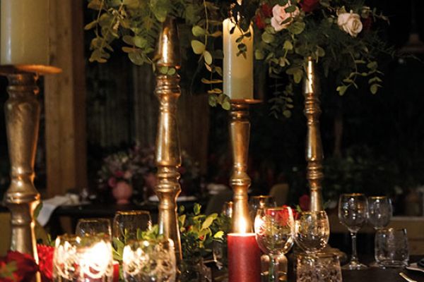 Wedding christmas cheere Bologna