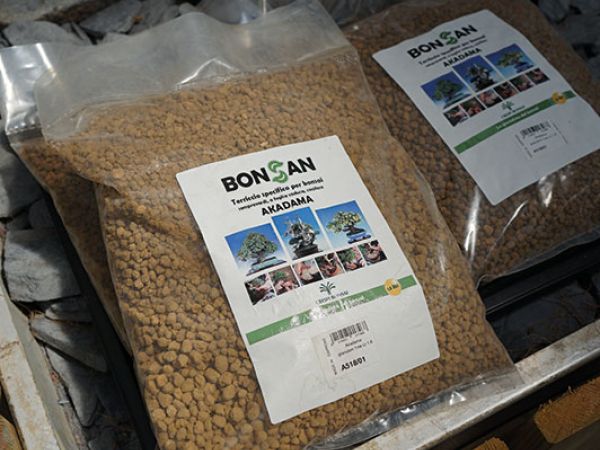 Installazione pergola a Bologna