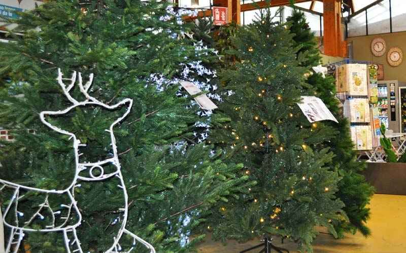 Alberi di Natale a Bologna