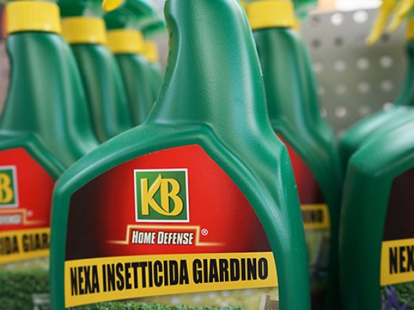 Installazione pergola a Bologna