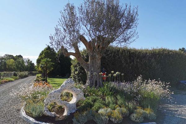 Giardini progetti realizzati da Sinflora garden center