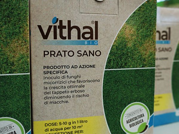 Installazione pergola a Bologna