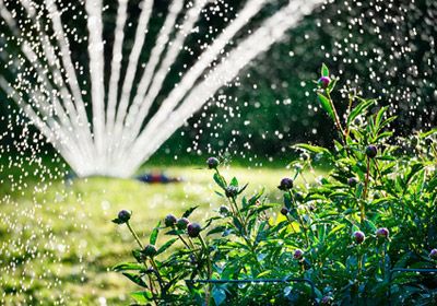 IRRIGAZIONE E GESTIONE DELL’ACQUA DEL GIARDINO