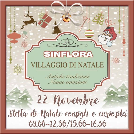 Stella di Natale consigli e curiosità - 22 novembre 2017