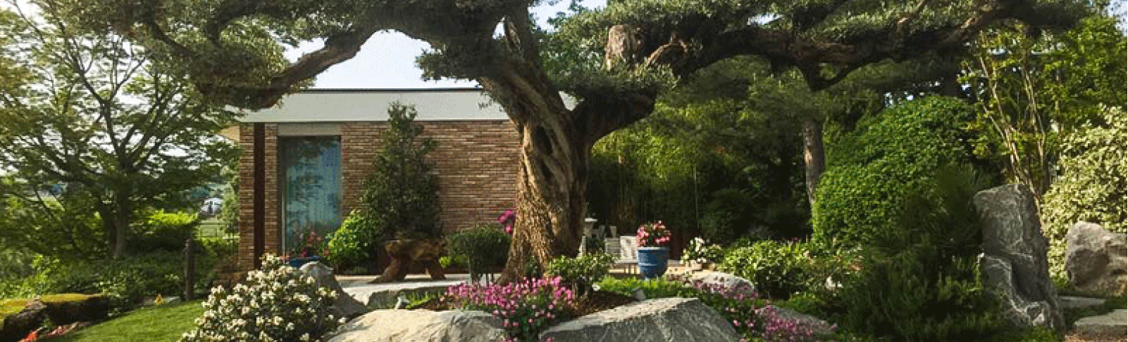 progettazione giardini a bologna