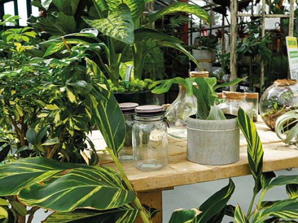 Installazione pergola a Bologna