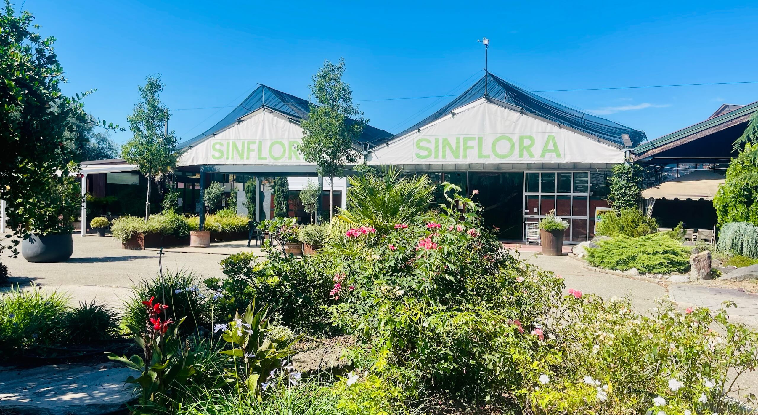 Sinflora garden center Anzola dell'Emilia ti aspetta