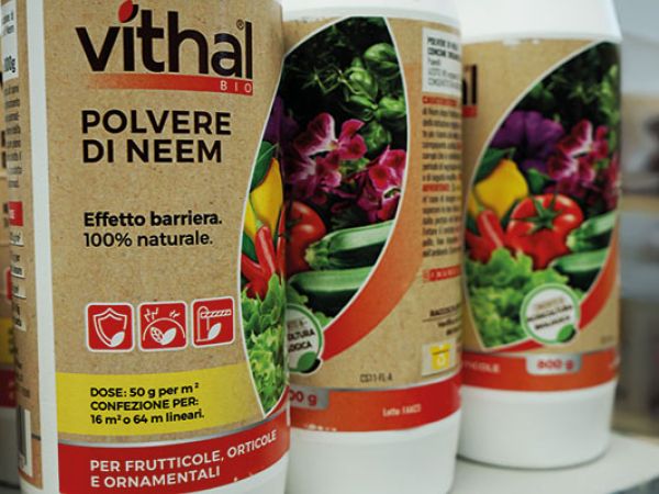 Installazione pergola a Bologna