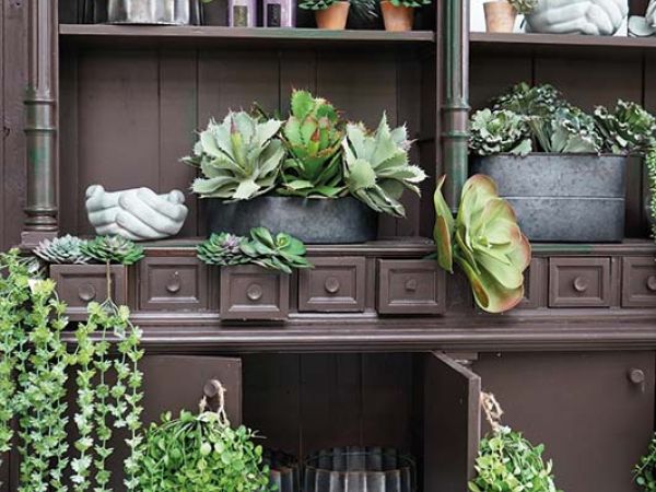 Installazione pergola a Bologna
