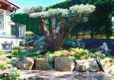 Creazione Giardini a Bologna e Modena