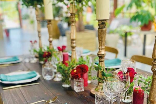 Wedding christmas cheere Bologna
