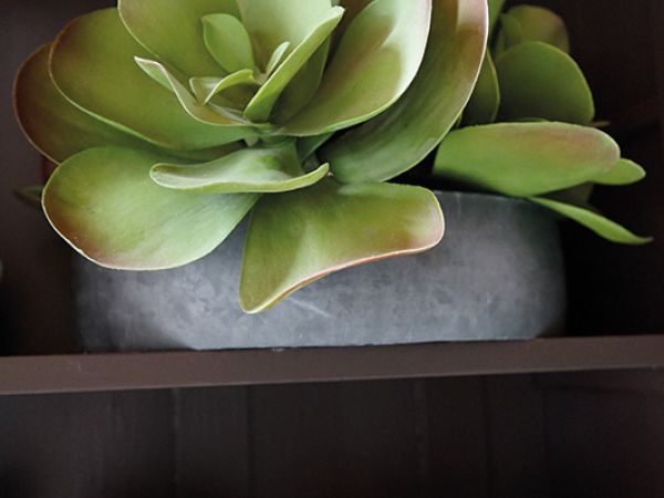 Installazione pergola a Bologna