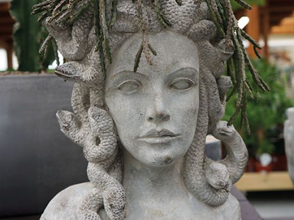 Installazione pergola a Bologna