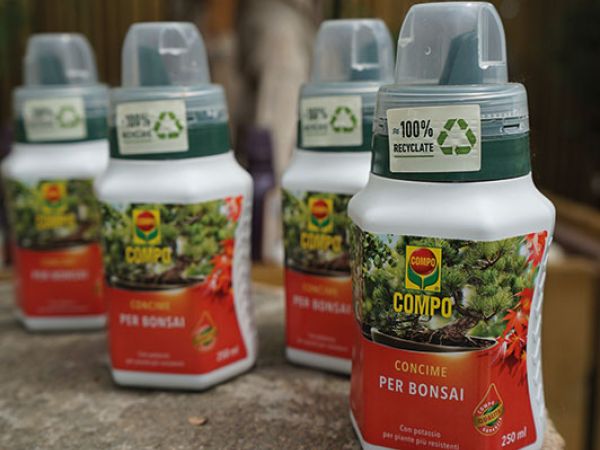 Installazione pergola a Bologna