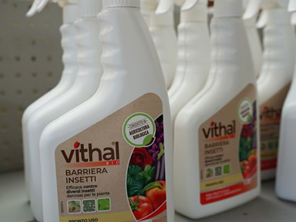 Installazione pergola a Bologna