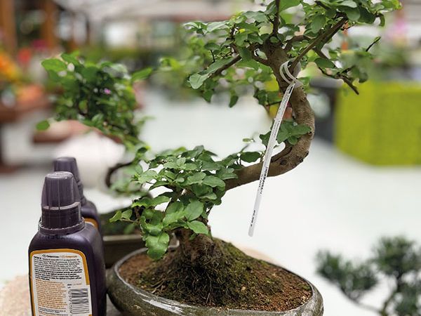 Installazione pergola a Bologna