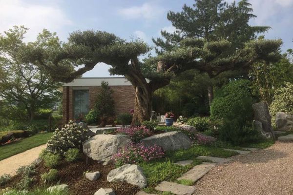 Giardini progetti realizzati da Sinflora garden center