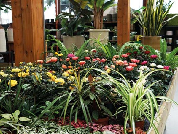 Installazione pergola a Bologna