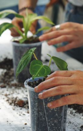 Ultimi eventi in programma