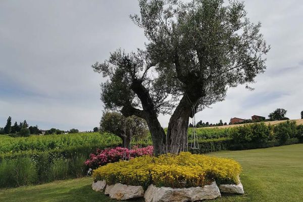 Giardini progetti realizzati da Sinflora garden center