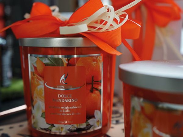 Installazione pergola a Bologna