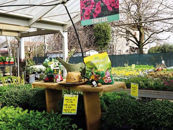 Installazione pergola a Bologna
