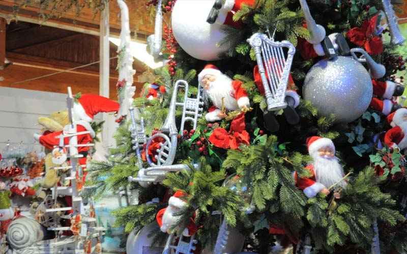 Allestimenti Natalizi a Bologna e Modena