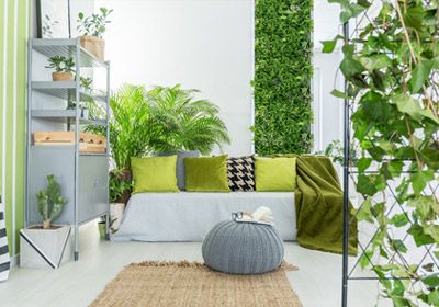 PIANTE DA APPARTAMENTO A BOLOGNA