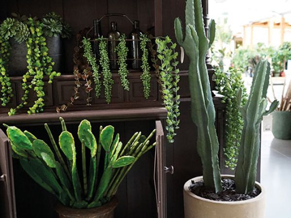 Installazione pergola a Bologna