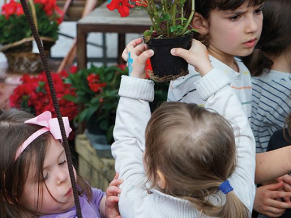 Installazione pergola a Bologna