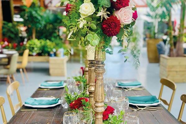 Wedding christmas cheere Bologna